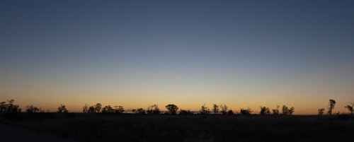 17_MG_5213