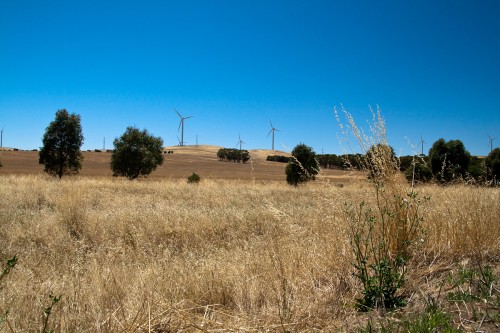 09-_MG_5655